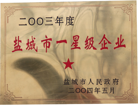 盐城市一星级企业