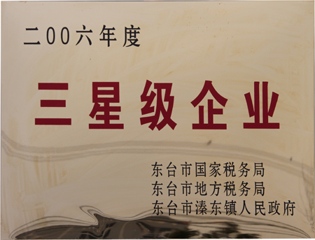 三星级企业